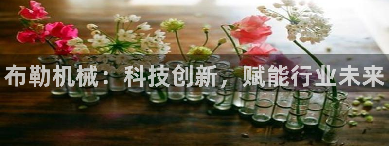 九游会ag官方网站在哪